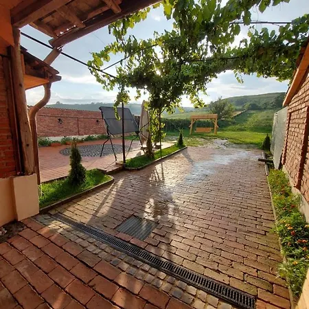 Casa Simion Vilă *