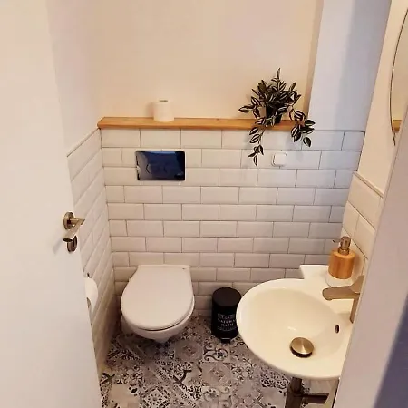 Casa Simion Villa *