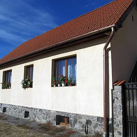 Vilă Casa Simion *
