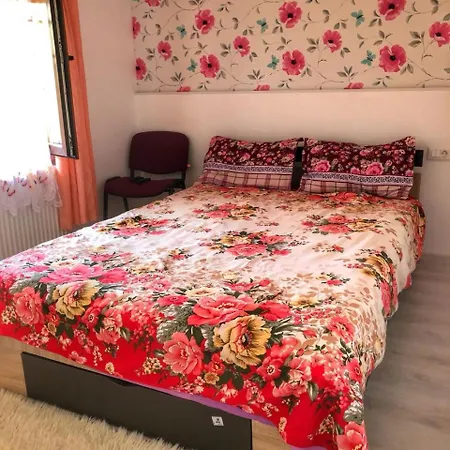 Casa Simion Vilă Sibiu